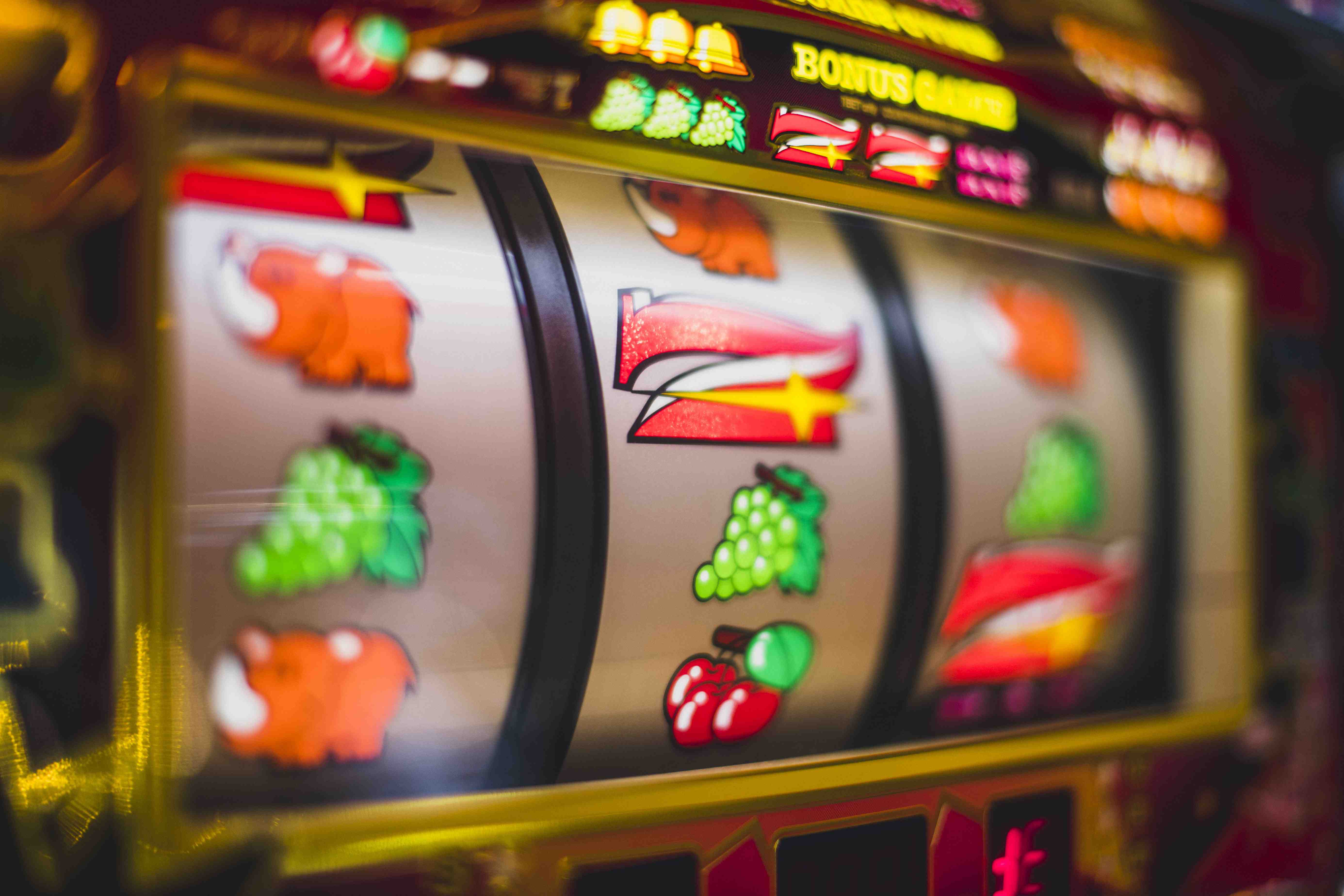 8877 bet login 8877 bet login