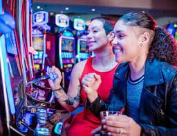 8877 bet login 8877 bet login
